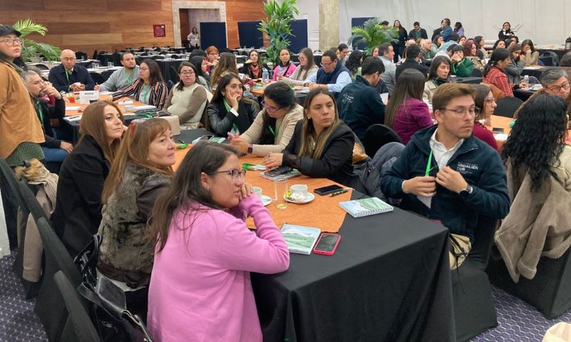 bienestar socioemocional